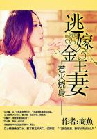 惹火烧身:逃嫁金主妻