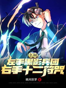 名柯:左手黑影兵团右手十二符咒