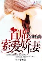 全球通辑：首席索爱娇妻